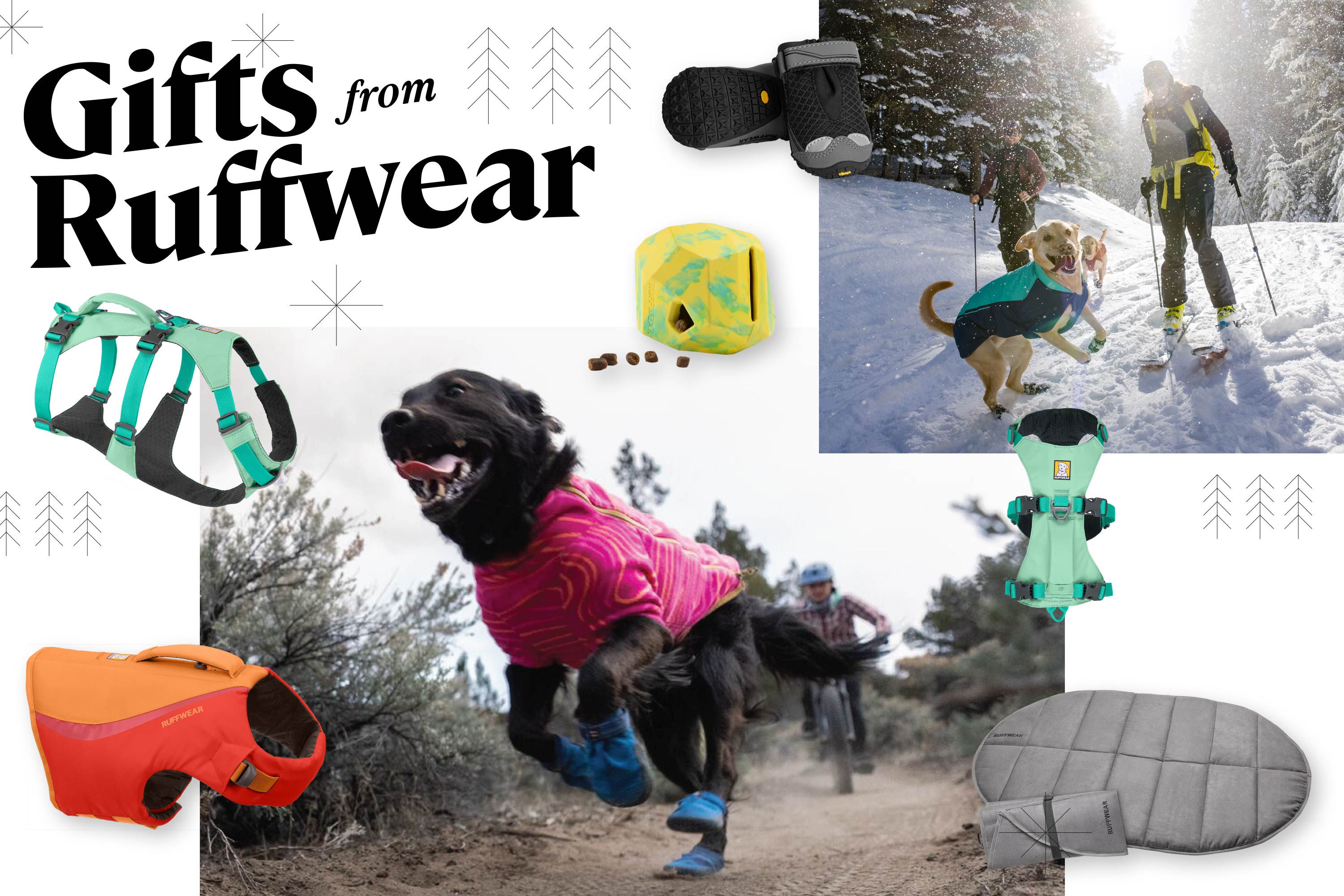 The Best Gifts for Your Outdoorsy Dog
